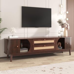 Mid-century modern curved TV stand with tambour doors and rattan drawer accents